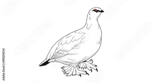 Elegant ptarmigan bird outline, standing in profile, showcasing its plump body, feathered legs, and distinctive red eye marking.