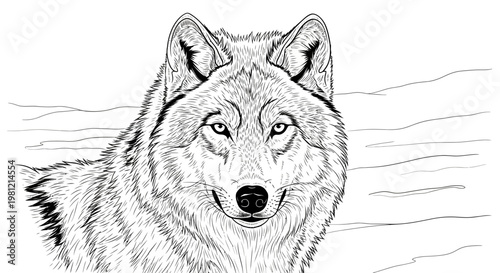 Detailed monochrome illustration of a wolf head with focused gaze and fur texture