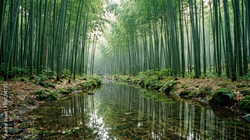 Lush Bamboo Forest Reflected In A Clear Stream Under Soft Morning Light, Creating A Serene Nature Scene.