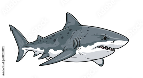 Powerful great white shark, swimming aggressively, showcasing its distinctive gray and white body, sharp teeth, and formidable presence.