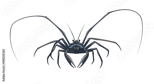 Unique spiny lobster, standing with long antennae extended, showcasing its blue-gray exoskeleton and prominent thorny texture.