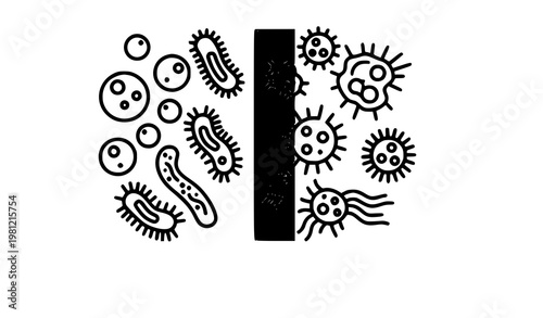 A vector graphic illustration of bacteria and germs separated by a barrier