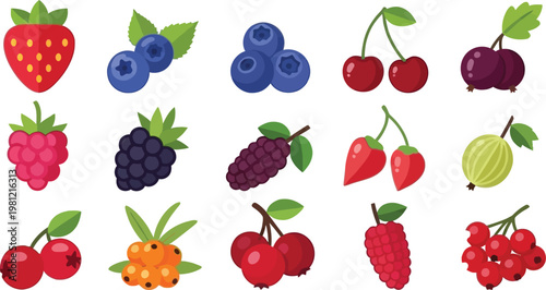 Assortment of fresh berries strawberries blueberries raspberries and more