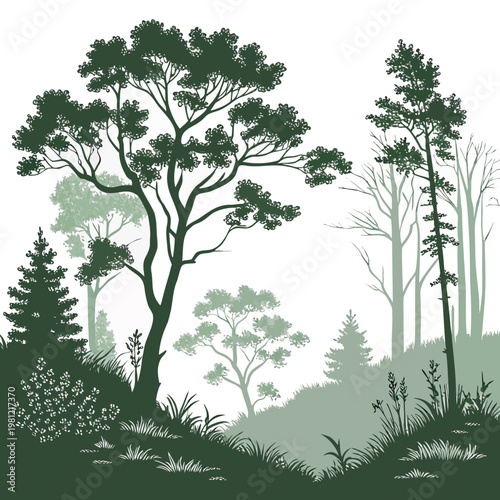 A serene landscape depicts a variety of trees in differing shades of green silhouetted against a pale soft background high quality professional