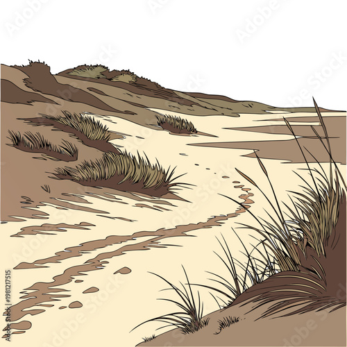 A stylized illustration depicts a sandy landscape with rolling dunes sparse vegetation and a winding path high quality professional detailed modern elegant