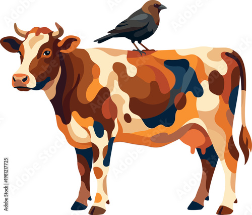 Brown headed cowbird standing on the back of a spotted dairy cow