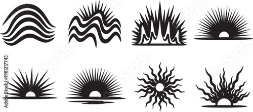 A collection of eight distinct black and white floral and plant line drawings Vector