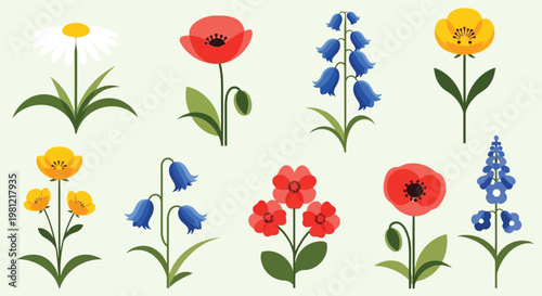 Adobe Illustrator Artwork