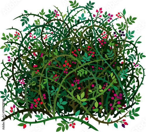 Thorny berry bramble bush with red and dark berries and green leaves