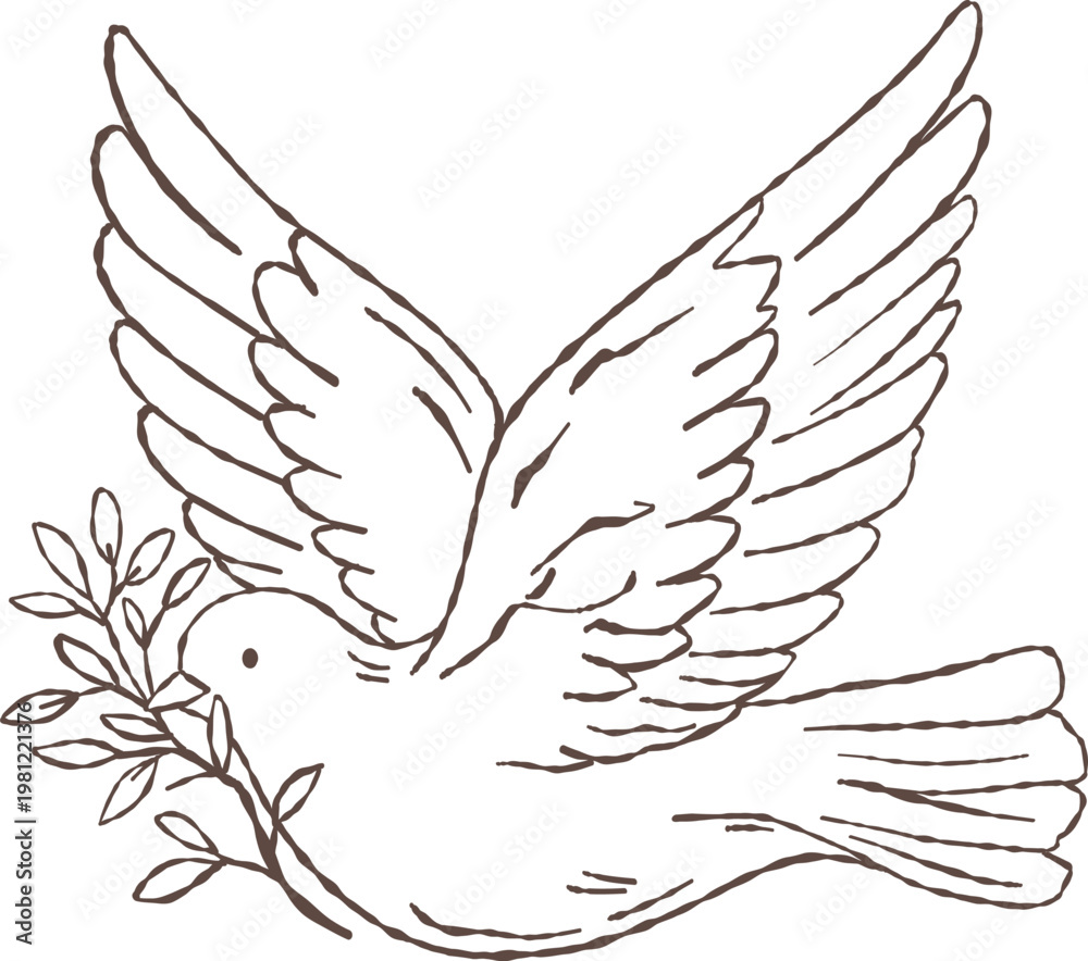 Fototapeta premium Flying dove of peace carrying an olive branch in its beak. Hand-drawn doodle outline illustration