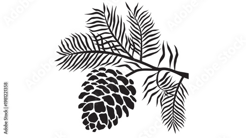 Palm tree leaves and fern frond branches with zebra stripes and textured shadow on white background featuring tropical, botanical, silhouette with