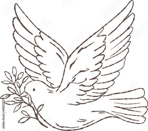 Flying dove of peace carrying an olive branch in its beak. Hand-drawn doodle outline illustration