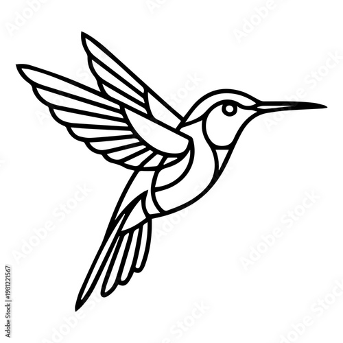 A graceful hummingbird vector illustration featuring a colibri in flight with a flower and perched on a branch, showcasing a wildlife nature design with elegant wings and a detailed beak art silhouett