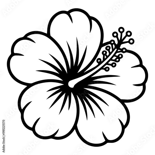 Vintage black and white flower vector illustration featuring a floral nature contour design with a leaf branch ornament and garden blossom sketch element for seamless wallpaper art