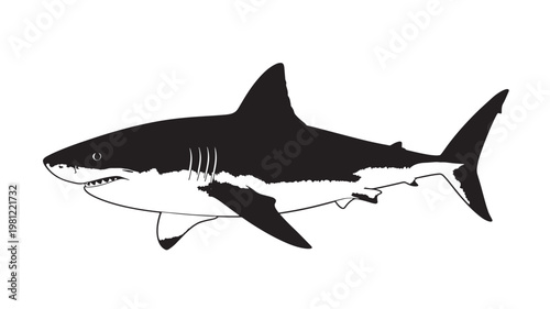 Shark silhouette icon with detailed fins and dorsal shape, set against a clean white background for web graphics