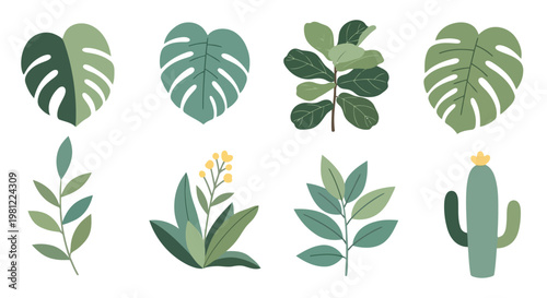 Adobe Illustrator Artwork