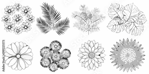 Botanical illustration featuring various sketched flowers and tropical foliage