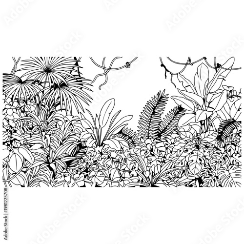 Dense jungle foliage line drawing with vines and tropical plants