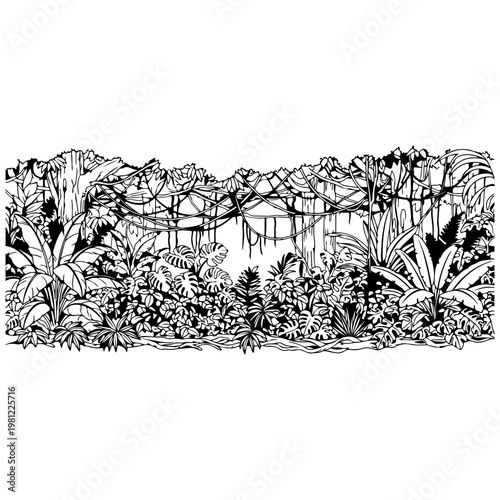 Dense jungle foliage with hanging vines, black and white line drawing