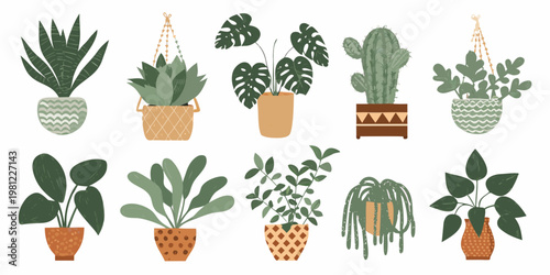 A collection of various potted houseplants and hanging plants displayed together