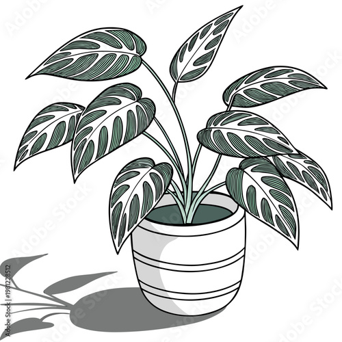 A stylized illustration depicts a monstera deliciosa plant in a white striped pot casting a soft shadow high quality professional detailed modern