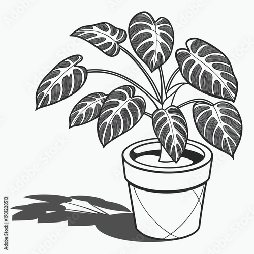 A detailed black and white illustration showcases a monstera deliciosa plant thriving in a simple cylindrical potted container high quality professional modern