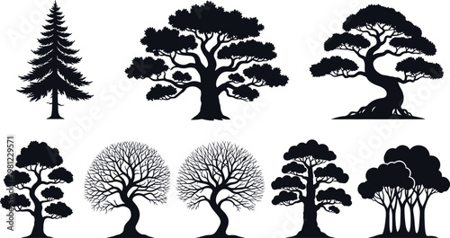 Six stylized black and white illustrations of different types of trees in a forest setting Vector