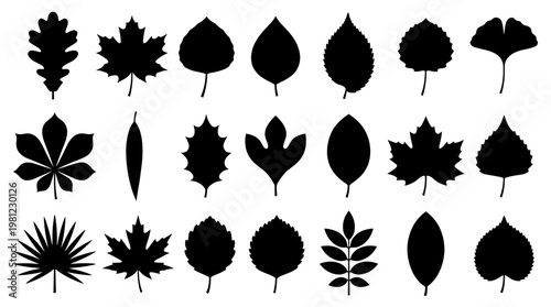 Collection of diverse black leaf silhouettes representing various tree species and plant types isolated on a white background, ideal for nature and design elements