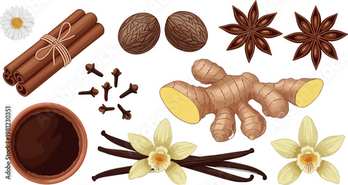 Spices and herbs vector set with cinnamon ginger vanilla cloves nutmeg star anise and aromatic ingredients