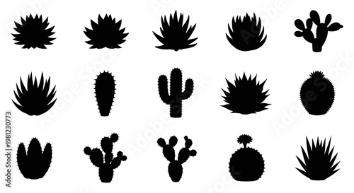 Collection of diverse succulent and cactus silhouettes isolated on white background, representing desert flora and arid plant life