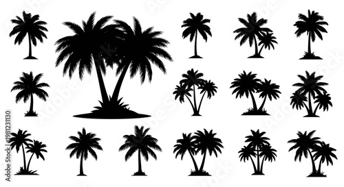 Collection of black palm tree silhouettes isolated on white background representing tropical destinations and exotic vacations