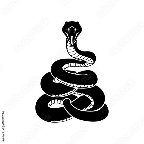 Coiled Cobra ready to strike with fangs bared in a menacing silhouette