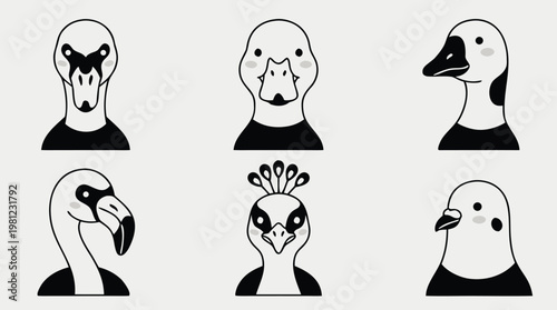 Set of six cartoon bird heads including a duck goose swan flamingo peacock and pigeon.