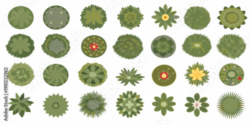 Aerial view of various green plants and colorful flower arrangements