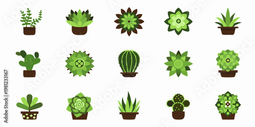 Variety of green potted cacti and succulents in a flat design