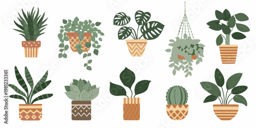 A collection of illustrated houseplants in decorative pots against white