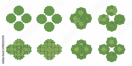 Aerial view of various green leafy plant arrangements and clusters