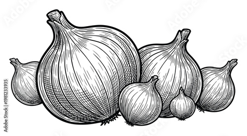 Vintage of a Group of Onions in Black and White