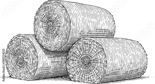 Vintage Line of Round Hay Bales Stacked a White Background straw agriculture