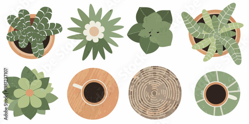 Collection of potted succulents and decorative plant pot illustrations