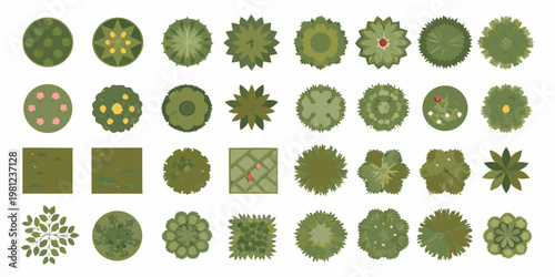 Overhead view of various stylized trees and shrubbery elements