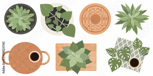 An aerial view of various potted plants and decorative containers