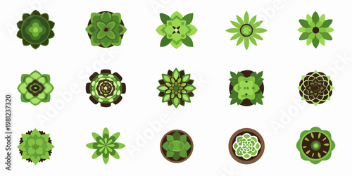 An assortment of stylized top down views of various green succulent plants