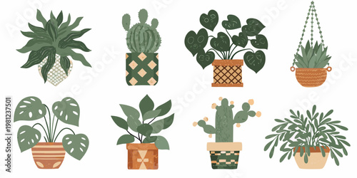 A collection of illustrated potted houseplants and hanging plants displayed together