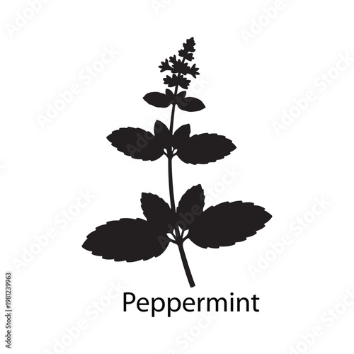 Silhouette of Peppermint herb plant
