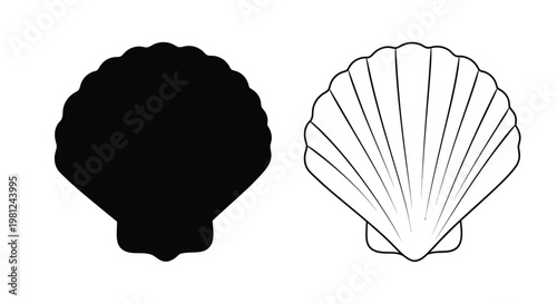 Two seashell illustrations one in solid black a striking silhouette
