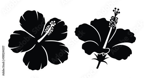 Two hibiscus flowers depicted in a striking black silhouette