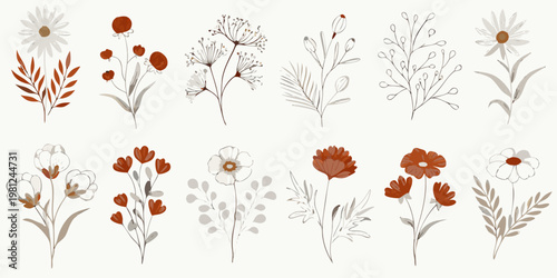 Botanical illustration featuring delicate wildflowers and foliage in neutral tones