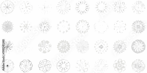 Collection of delicate grayscale floral sketches arranged in a grid pattern