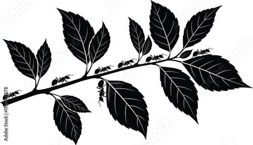 A silhouetted branch displays several large leaves and a line of ants traveling along it high quality professional detailed modern elegant